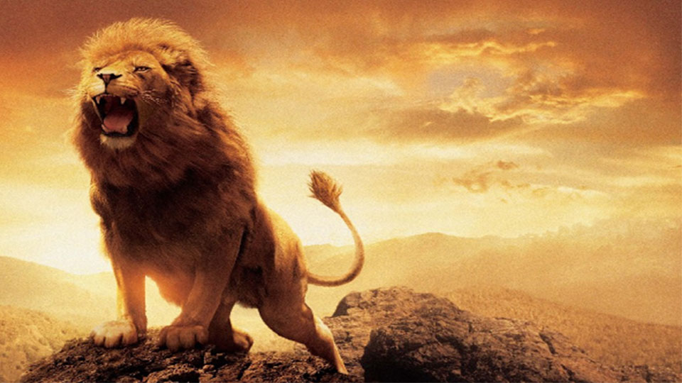 Let the Lion roar
